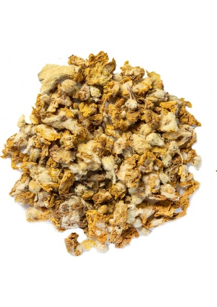 Sığır Kuyruğu Verbascum Thapsus 100 grr