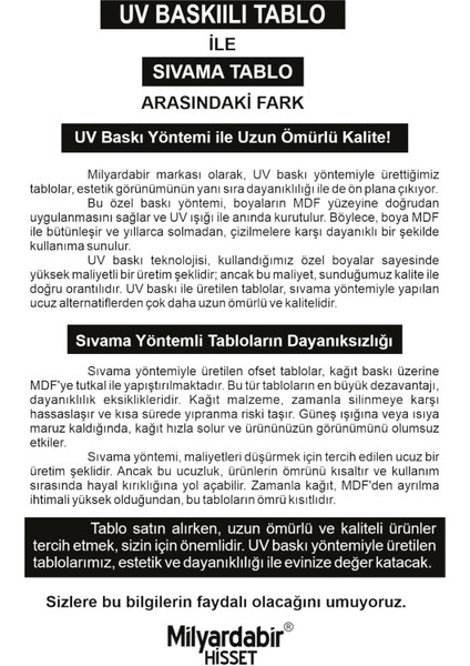 Evinize Mistik Bir Hava Katacak 12 Parça Mdf Tablo Seti