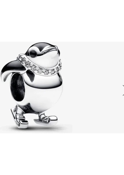 Kayak Yapan Penguen Charm