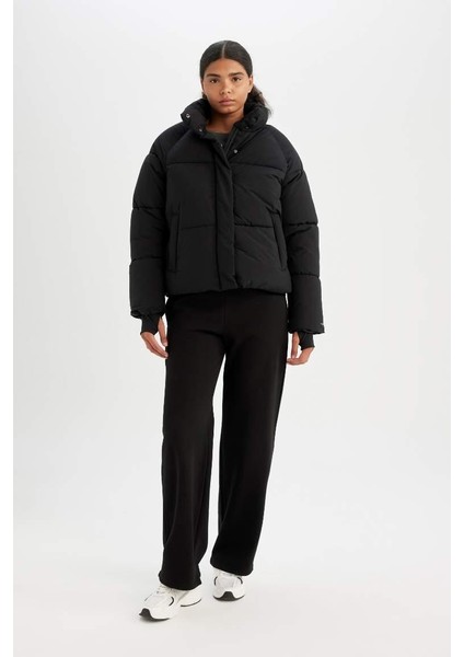 Defactofit Şişme Mont Su Itici Dik Yaka Fermuarlı Çıtçıtlı Cepli Puffer Black fiyatları