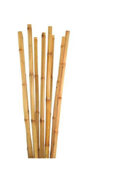 Bitki Destek Çubuğu Bambu 75 cm 20 Adet modelleri