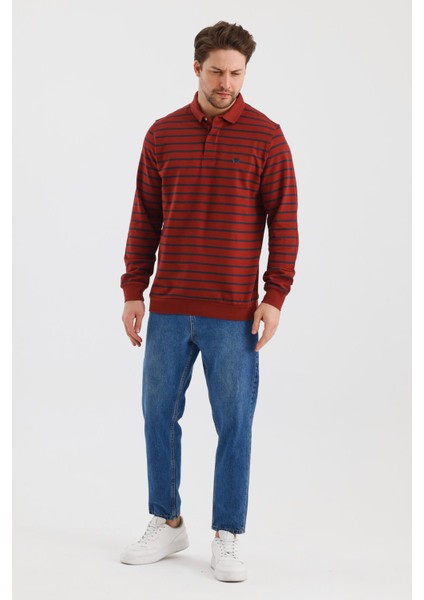 Polo Yaka Çizgili Regular Fit Sweatshırt (WK25214)