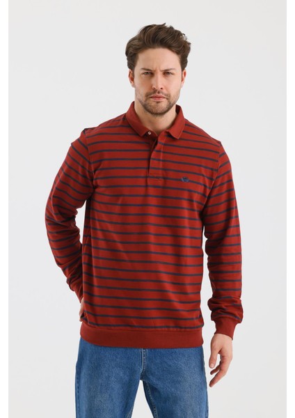 Polo Yaka Çizgili Regular Fit Sweatshırt (WK25214) fiyatları