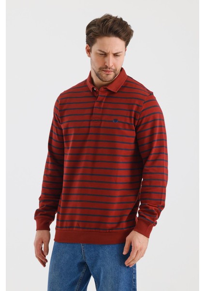 Polo Yaka Çizgili Regular Fit Sweatshırt (WK25214) modelleri