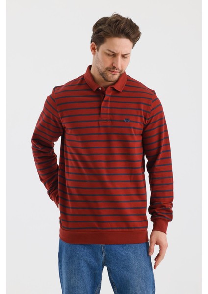 Polo Yaka Çizgili Regular Fit Sweatshırt (WK25214) fırsatları