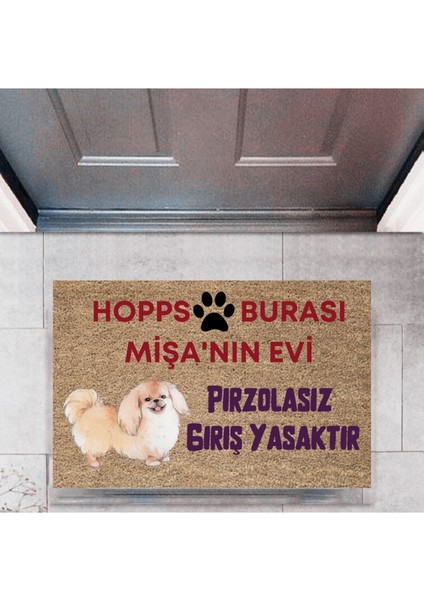 Kapı Önü Paspası Dekoratif Dijital Baskı Hopps P-2474