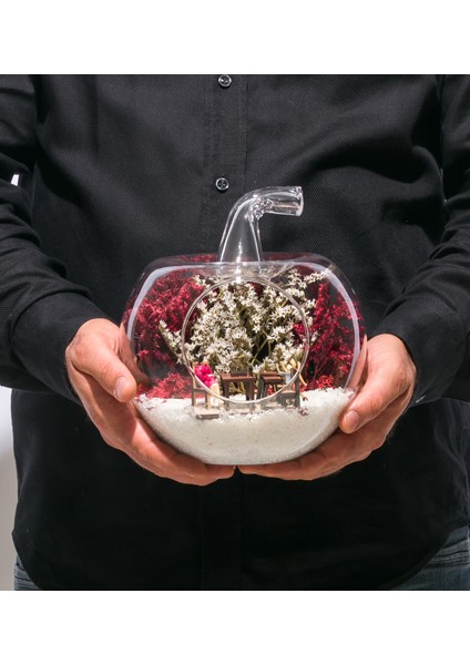 Teraryum Canım Öğretmenim Derste Kadın Objeli fırsatları