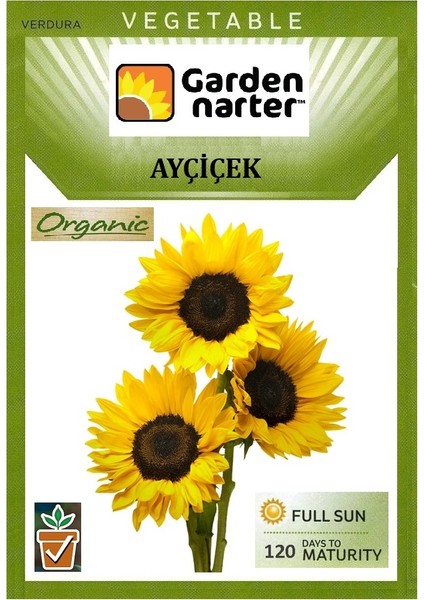 Çerezlik Ayçiçek Günebakan Tohumu - Paket 10 gr 50 Tohum