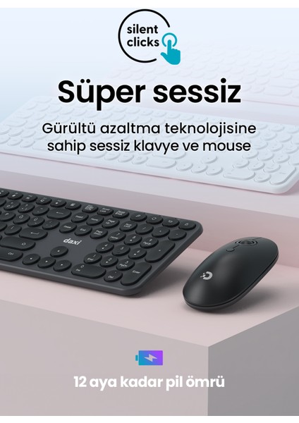 MK250 Elegance Sessiz 2.4ghz Kablosuz Türkçe Q Klavye Mouse Seti