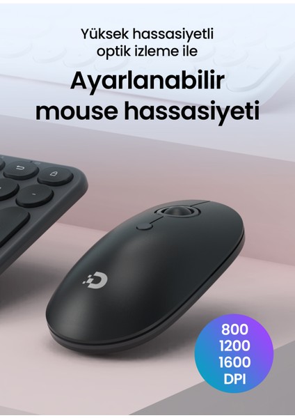 MK250 Elegance Sessiz 2.4ghz Kablosuz Türkçe Q Klavye Mouse Seti