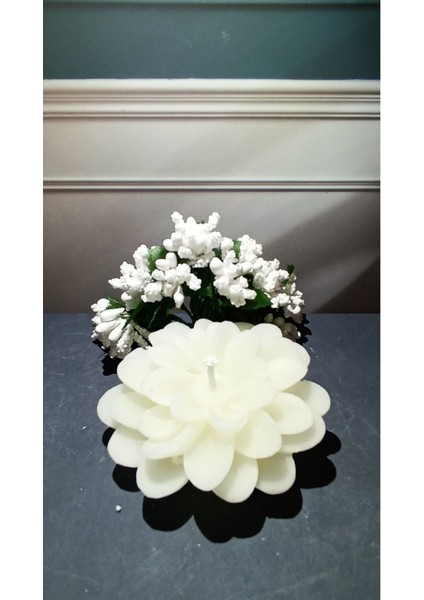 Tekno Trust 10 Adet Dekoratif Tasarım Mum Lotus Çiçeği (7x7 Cm) fiyatları