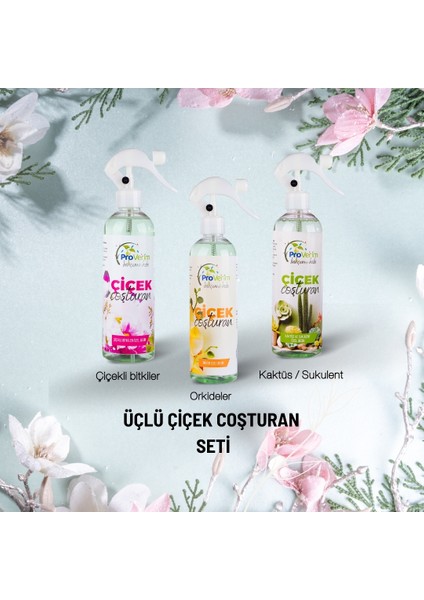 3’lü Çiçek Coşturan Seti