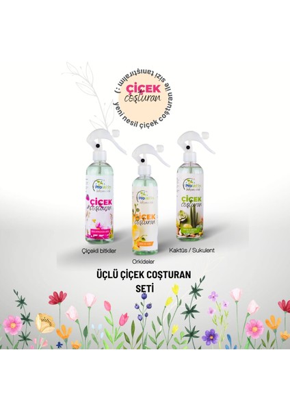 3’lü Çiçek Coşturan Seti