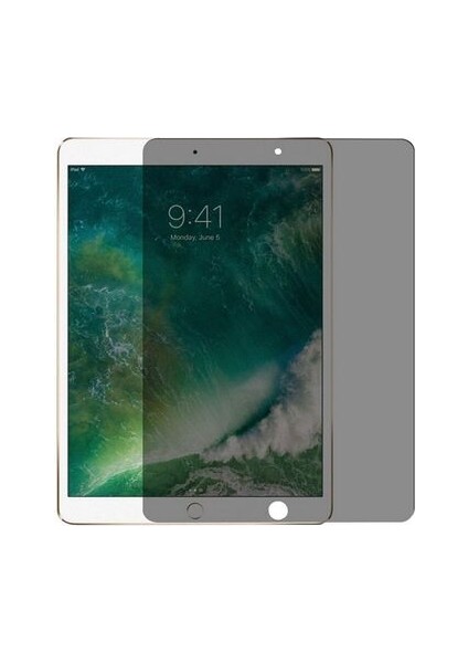 Apple iPad 10.2 (8.nesil) Hayalet Özellikli Privacy Cam Ekran Koruyucu