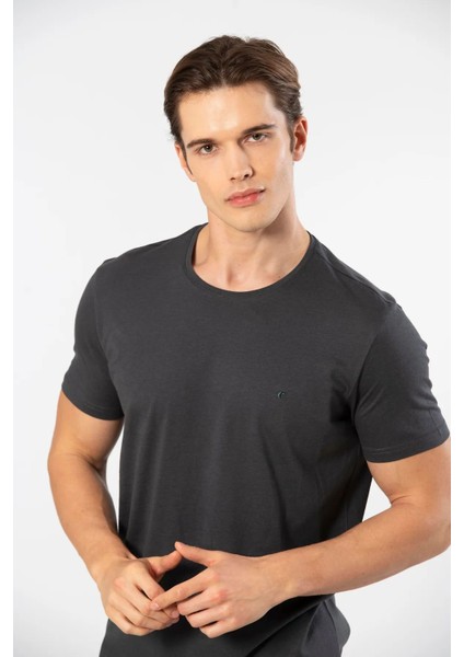2169 Erkek Modal Pamuk Bisiklet Yaka Kısa Kollu T-Shirt-Antrasit