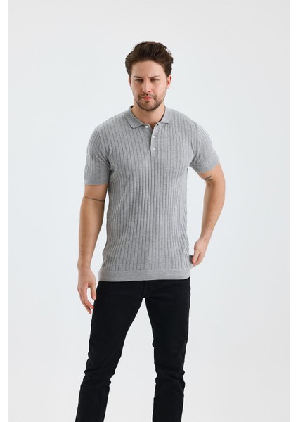 Dik Çizgili Polo Yaka Slim Fit Triko T-Shırt (E24-EZE-25) modelleri