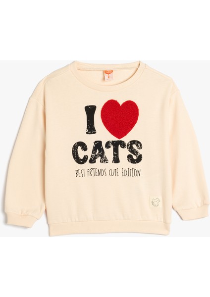 Sweatshirt Uzun Kollu Bisiklet Yaka Baskılı ve Aplike Detaylı Şardonlu