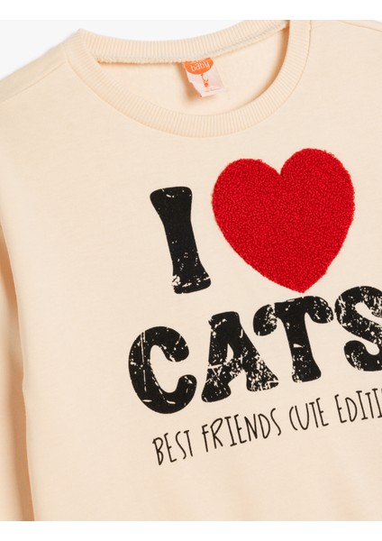 Sweatshirt Uzun Kollu Bisiklet Yaka Baskılı ve Aplike Detaylı Şardonlu