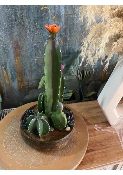 Boyalı Dekoratif Kaktüs Obje