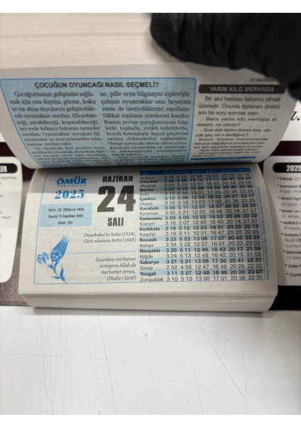 Atatürk Imzalı 2.bölge 2025 Kartonlu Yapraklı Duvar Takvimi
