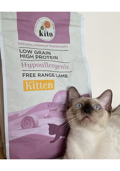 Yavru Kedi Maması 2 kg + Ton Balıklı Kito Fresh x 6