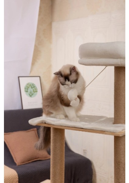 Kuara Lissa Kedi Tırmalama Alanı – Şık ve Fonksiyonel Tasarım fiyatları