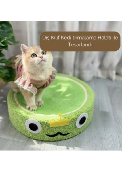 Kuara Kurbağa Kedi Tırmalama Alanı – Eğlenceli ve Fonksiyonel Tasarım modelleri