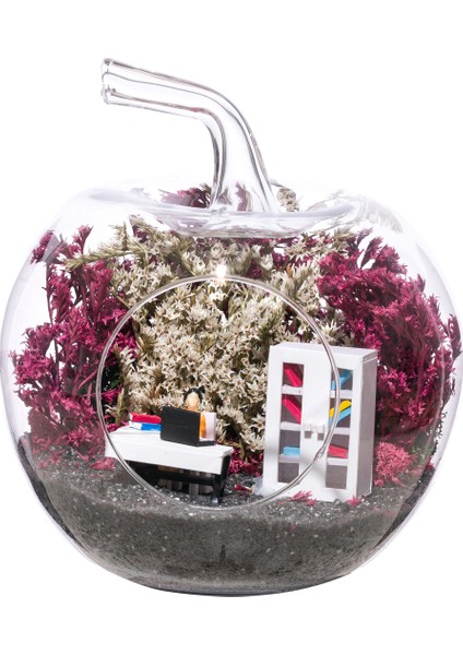 Teraryum Yeni Iş Tebrik Bayan 11 fiyatları