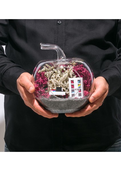 Teraryum Yeni Iş Tebrik Bayan 11 fırsatları