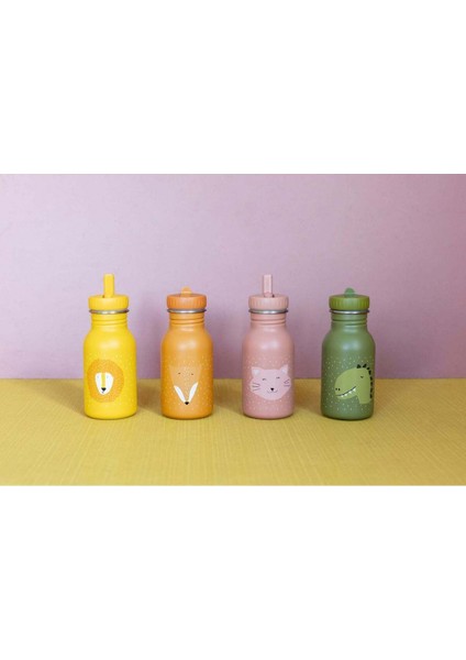 Insulated Drınkıng Bottle 350ML - Termos Şişe - Mr. Dıno