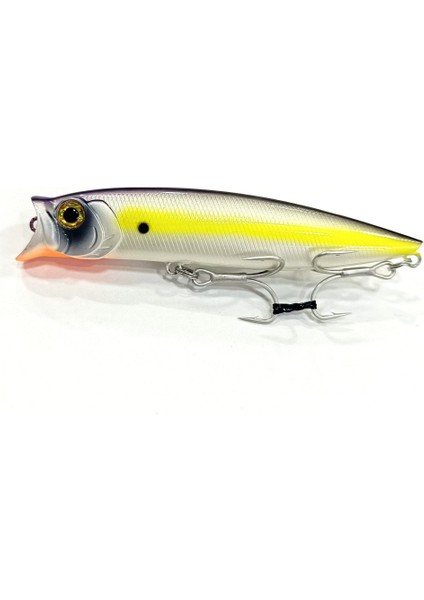 C.pop 100F-12.1 GR-570