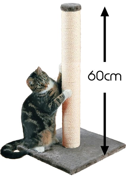 Tekno Trust Çubuk Tırmalama Tahtaları Kedi Tırmalama Tahtası Hasır 60CM - Karışık Renk
