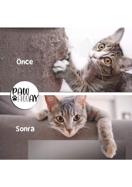 Yapışkanlı Tırmalama Koruyucu, 25x45 cm, 4'lü, Turuncu, Koltuk ve Mobilya Koruma