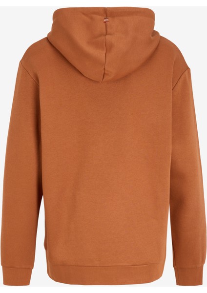 Kapüşon Yaka Kahve Erkek Sweatshırt 12216335_JPRBLUARCHIE Sweat Hood No fiyatları