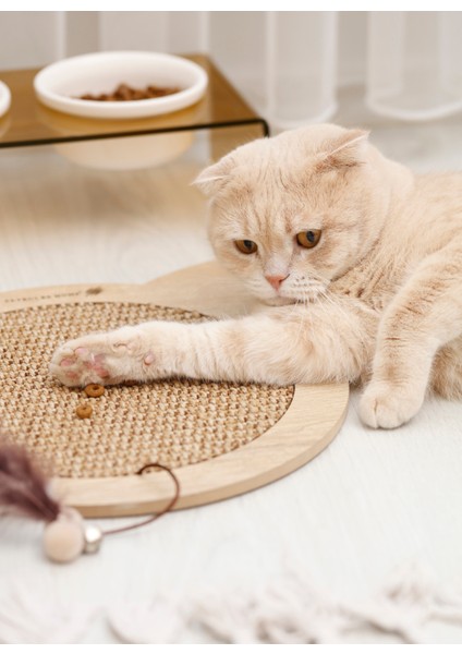 Pet Aksesuar modelleri