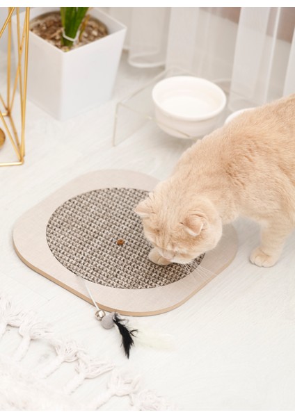 Pet Aksesuar fiyatları