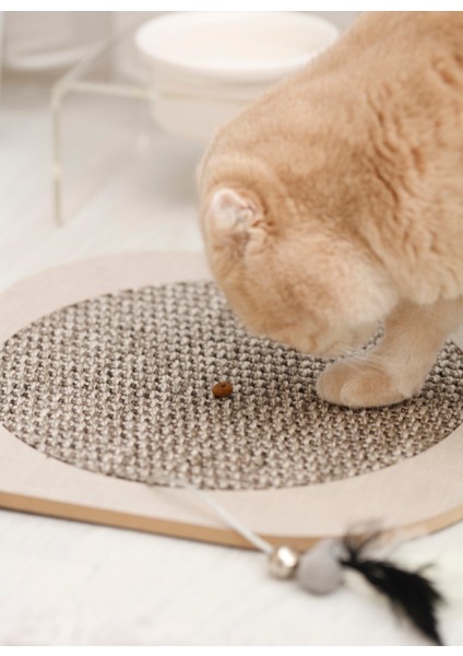 Pet Aksesuar fırsatları