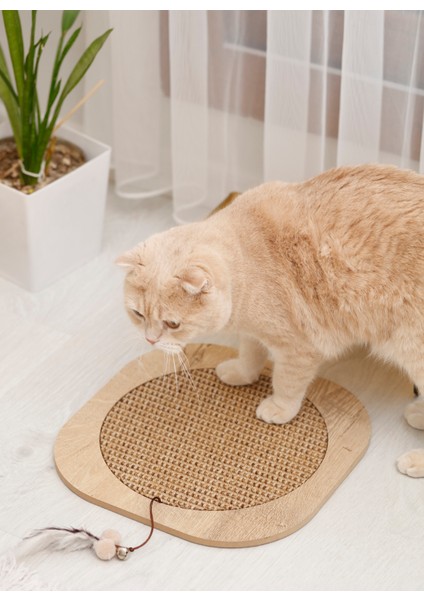 Pet Aksesuar fiyatları