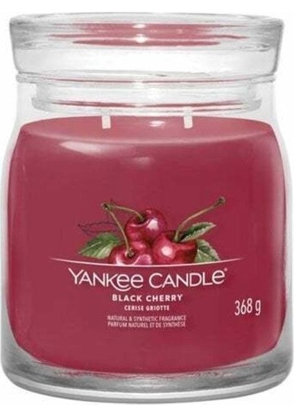1701391E Orta Mum Black Cherry