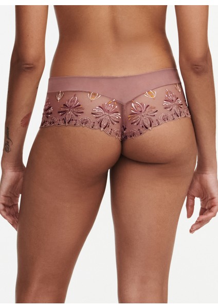 Kahve Kadın Brazilian C26040 modelleri