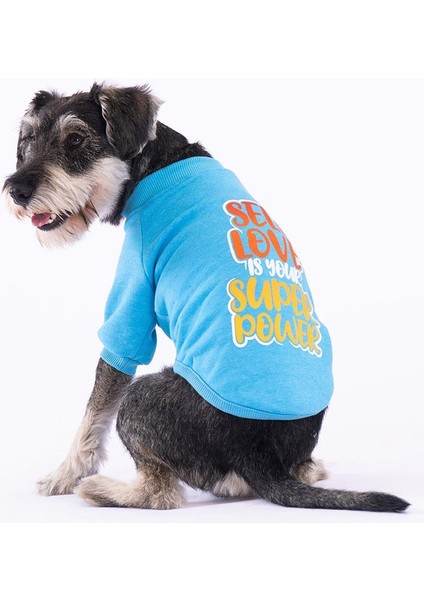 Turkuaz Power Polarlı Küçük Irk Köpek Sweatshirtü