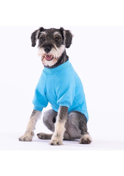 Turkuaz Power Polarlı Küçük Irk Köpek Sweatshirtü fiyatları
