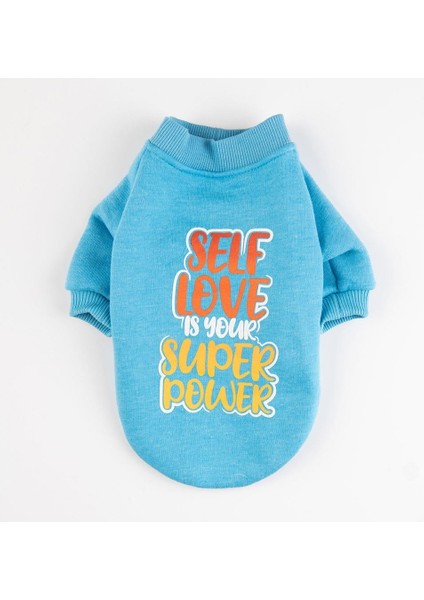 Turkuaz Power Polarlı Küçük Irk Köpek Sweatshirtü modelleri