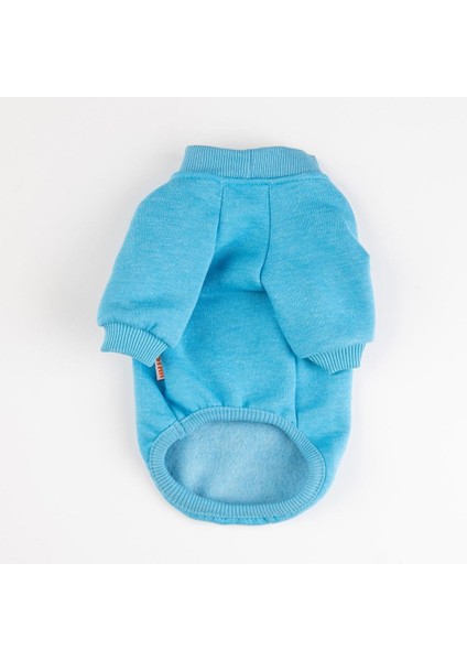 Turkuaz Power Polarlı Küçük Irk Köpek Sweatshirtü fırsatları