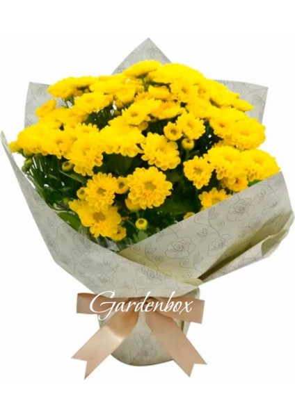 Sarı Renk Hediye Paketli Kasımpatı Çiçeği Öğretmenler Günü Hediyesi