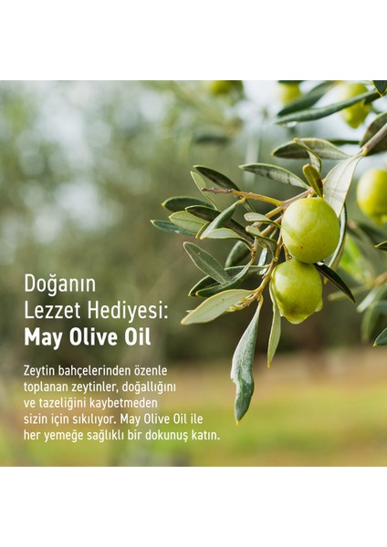 Erken Hasat Doğal Sızma Zeytinyağı 15LT | May Olive Oil