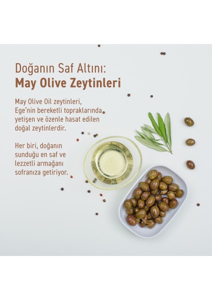 Erken Hasat Doğal Sızma Zeytinyağı 15LT | May Olive Oil