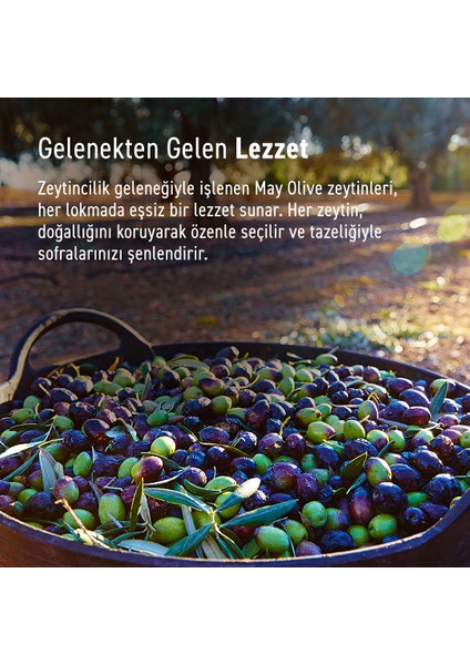 Erken Hasat Doğal Sızma Zeytinyağı 15LT | May Olive Oil