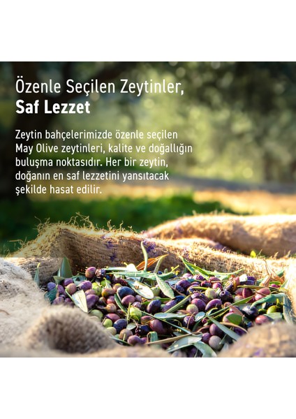 Erken Hasat Doğal Sızma Zeytinyağı 15LT | May Olive Oil