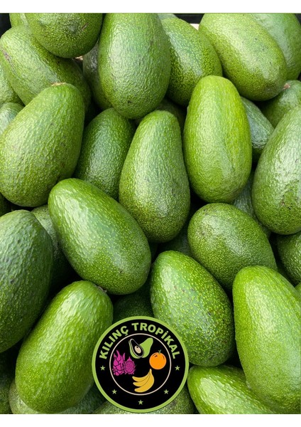 1 kg Avokado (Mini Boy 200 gr Altı)